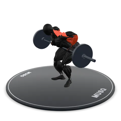 Barbell Bent-Over Row 3D model