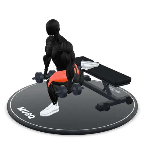 Bulgarian Split Squat 3D model