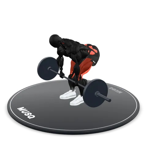 Romanian Deadlift 3D model